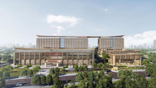 重慶兩江新區(qū)中醫(yī)院成功創建國(guó)家(jiā)二級甲等中醫(yī)醫(yī)院