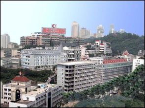 重慶中心城(chéng)區(qū) 重慶渝中區(qū)醫(yī)療保險中心