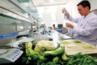 首個(gè)食用(yòng)農(nóng)産品快(kuài)檢室落戶大(dà)東(dōng) 将對(duì)市(shì)民(mín)免費(fèi)開(kāi)放(fàng)